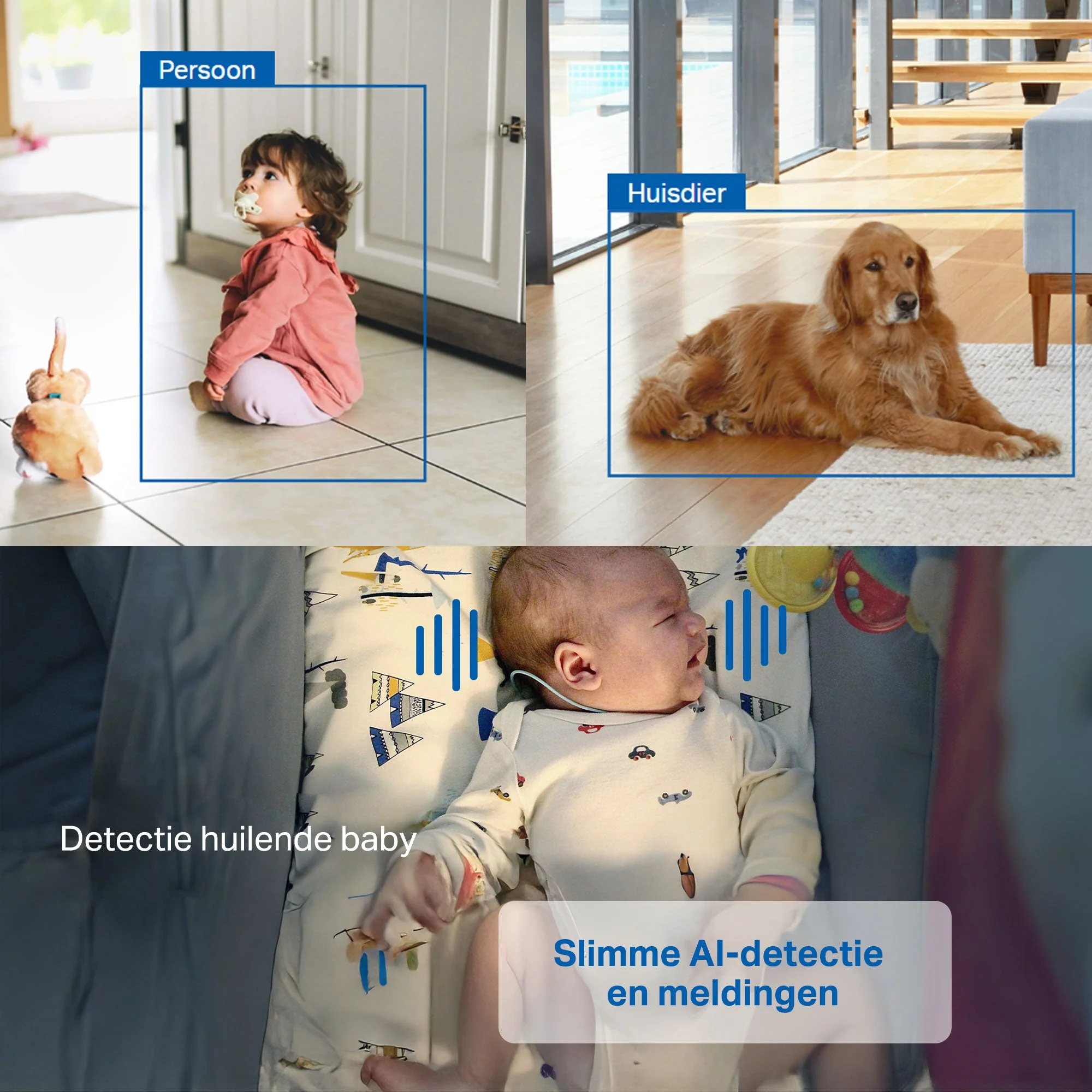 Productafbeelding 12