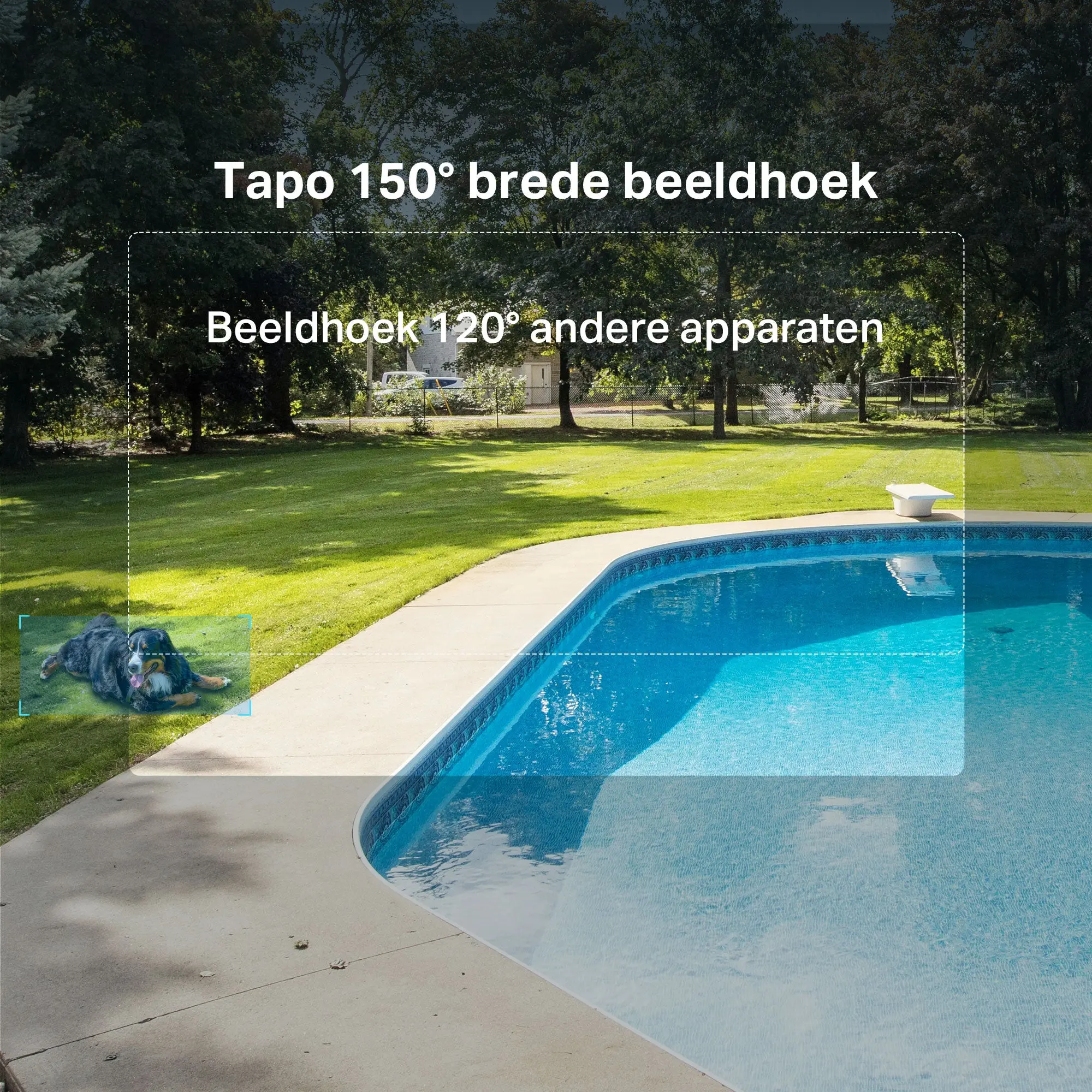 Productafbeelding 9